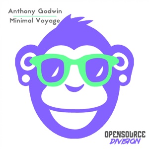 Minimal Voyage - Single