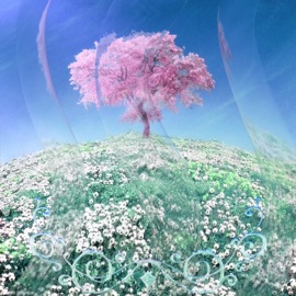 SOMETHING ELSE (feat. AAMO) Planaway