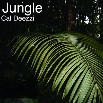 Jungle - Single