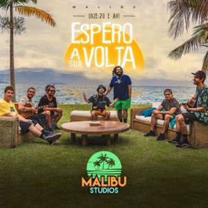 Espero a Sua Volta - Single