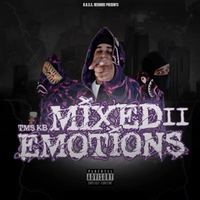 MixedEmotionsII