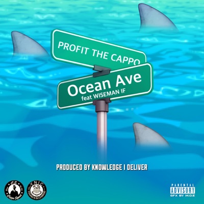 Ocean Avenue (feat. Wiseman If) - Single