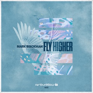 Fly Higher - Single