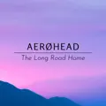 The Long Road Home
