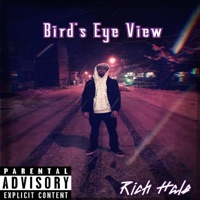 Bird's Eye View - Single - Rich Hale