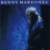 Into The Night by Benny Mardones iTunes Track 13