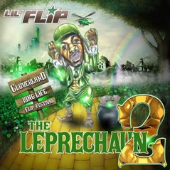 The Leprechaun 2