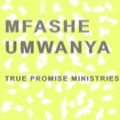 Mfashe Umwanya artwork