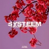 Systeem (feat. Kevcody) - Single