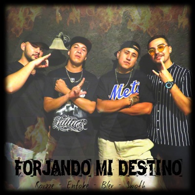 Forjando Mi Destino (feat. Roizze, Swoth XL & BLER) - Single