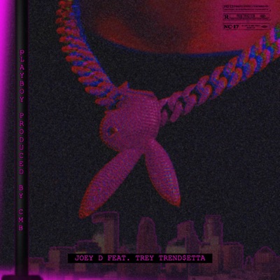 Playboy (feat. Trey Trend$etta) - Single