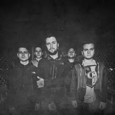 聆聽 Icon & Anchor、觀看音樂影片、閱讀小傳、查看巡演日期等！