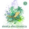 Siesta Electronica, Vol. 10