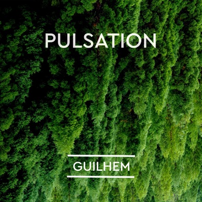 Pulsation - Single