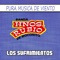 La Zopilota - Banda Hnos. Rubio de Mocorito lyrics