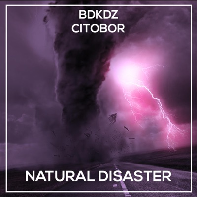 Natural Disaster (feat. Citobor) - Single