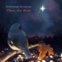 Stephanie Seymour - Northern Lapwing