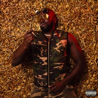 Nirvana (feat. Jok'air) - Single - Chich