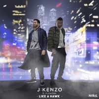 Like a Hawk (feat. Flowdan) - Single - J:Kenzo