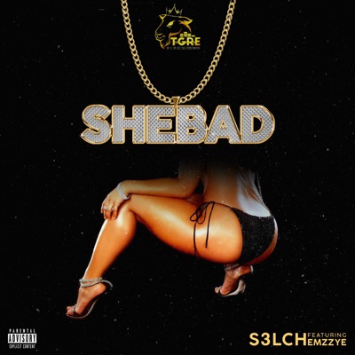 She Bad (feat. Emzzye) - Single