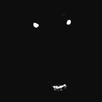 Animal - Single - Co Lee