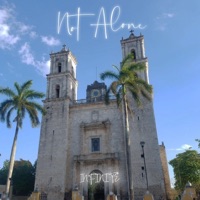 Not Alone - Single - Infinite