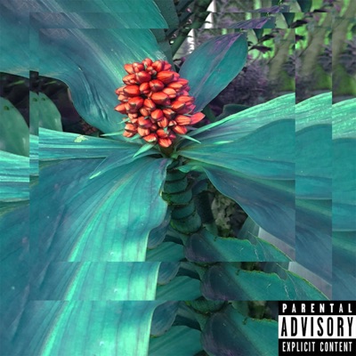 I'm Too Emotional - EP