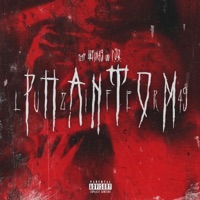 Phantom (feat. Fox) - Single - Luzifer49
