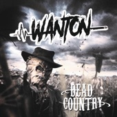 Dead Country artwork