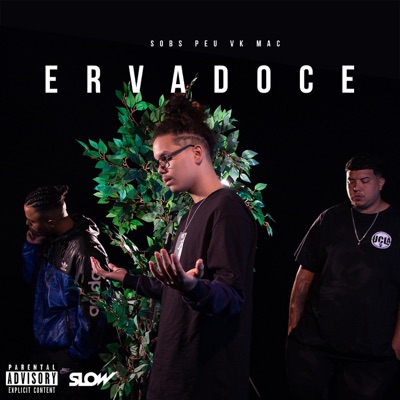 Erva Doce (feat. Sobs, Peu CanetaBeats & Vk Mac) - Single