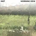 Morning Dew