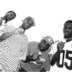Gambino Family