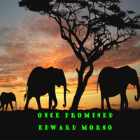 Edward Morso - Once Promised artwork