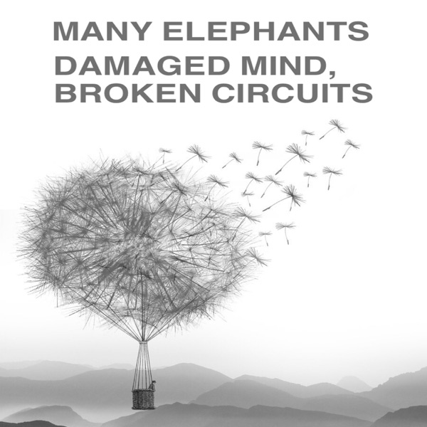 Damaged Mind, Broken Circuits - EP