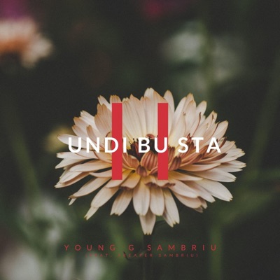Undi Bu Sta II (feat. P Reaper Sambriu) - Single