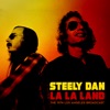 Steely Dan - Rikki Don't Lose That Number (Live 1974)