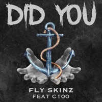 Did You (feat. C100) - Single - Fly Skinz