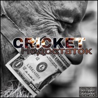 Недостаток - Single - Cricket