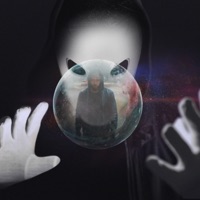 Vrei Raspunsuri (Reflux Remix) - Single - Majii