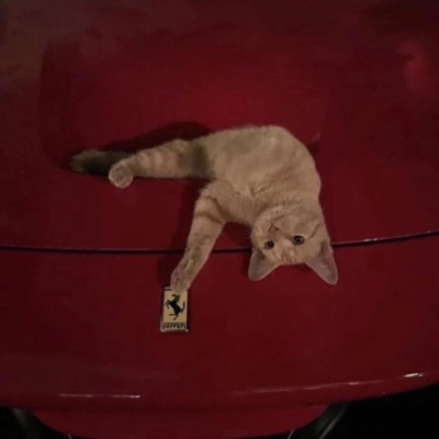 Bleeding 4 U - Single