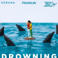 Drowning - Single - Franklin, Digital Farm Animals & Sorana