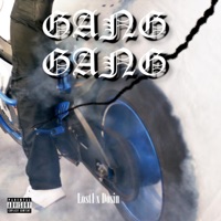 Gang Gang (feat. Dosin) - Single - Lost1