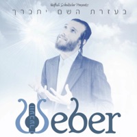 בעזרת השם יתברך - Beri Weber