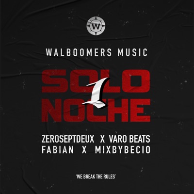 Solo1Noche (feat. Mixbybecio & Fabian) - Single