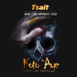 Koto Aye (feat. MrBee, Trod, Otega & Superwozzy) Tsalt