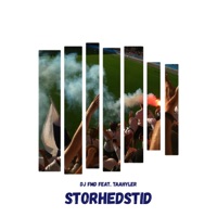Storhedstid (feat. Taahyler) - Single - DJ FMD