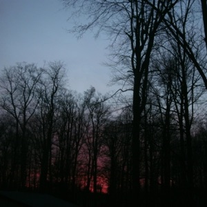 Sleepwalking - Single