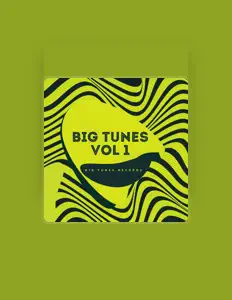 收听 Big Tune Records、观看音乐视频、阅读小传、查看巡演日期等 ！
