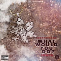 What Would You Do? - Single - DeDaProblem