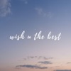 wish u the best (feat. Kaxi) - Single